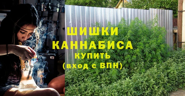 прущие крисы Белоозёрский