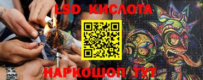ГАЛЛЮЦИНОГЕННЫЕ ГРИБЫ Кингисепп