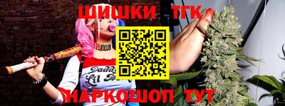 крисы Камышлов