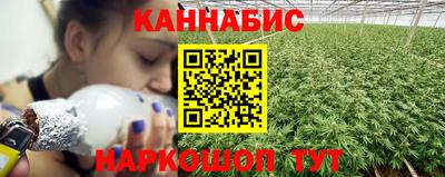 крисы Камышлов