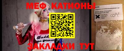 крисы Камышлов