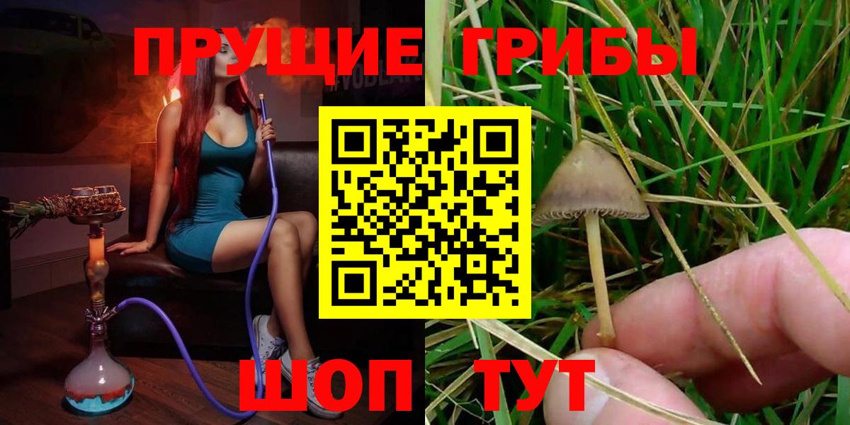 Северск  Псилоцибиновые грибы MAGIC MUSHROOMS  Галлюциногенные грибы ЛСД  Вход с VPN 